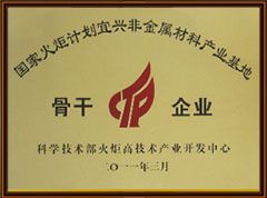 骨干企业